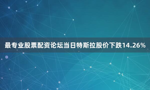 最专业股票配资论坛当日特斯拉股价下跌14.26%