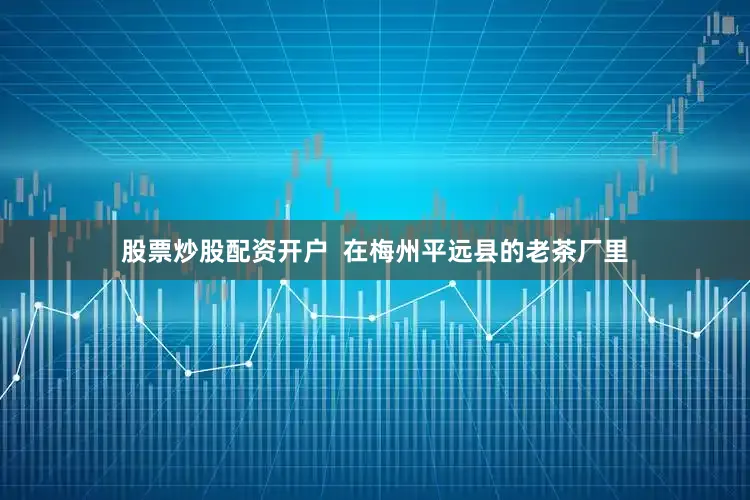 股票炒股配资开户  在梅州平远县的老茶厂里