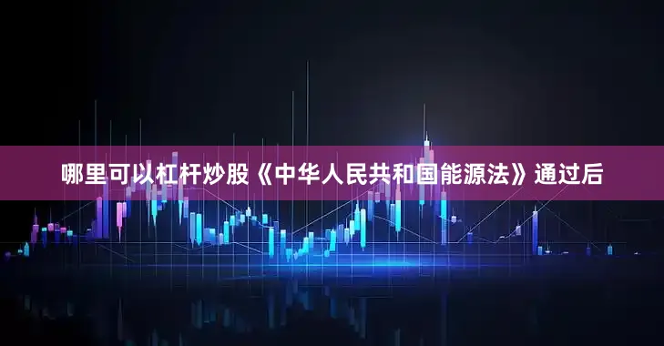 哪里可以杠杆炒股《中华人民共和国能源法》通过后