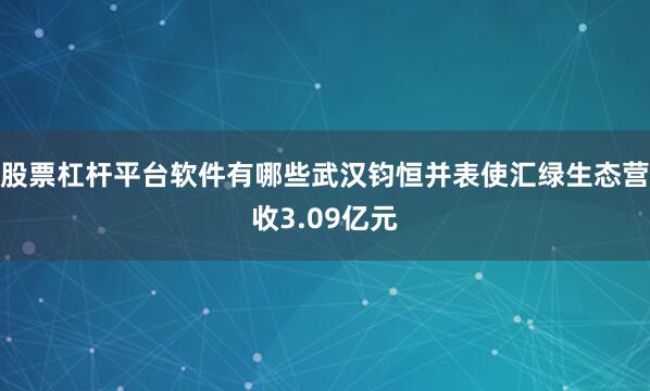 股票杠杆平台软件有哪些武汉钧恒并表使汇绿生态营收3.09亿元