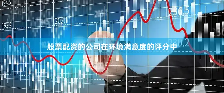 股票配资的公司在环境满意度的评分中
